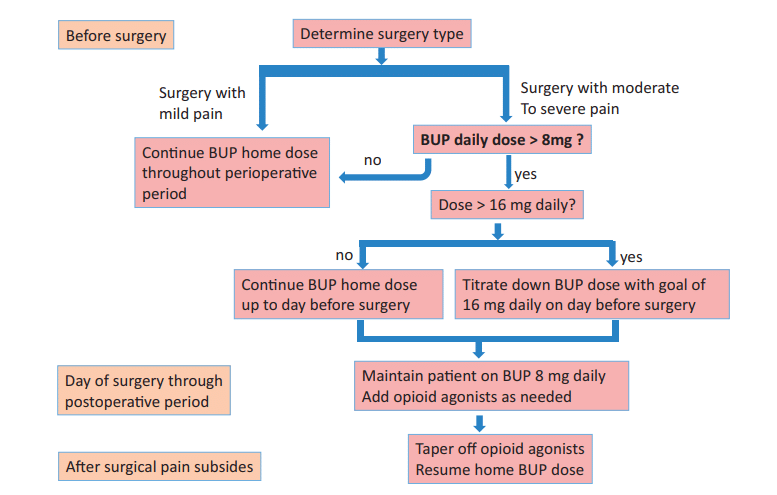 One site's recommendations for managing post-operative pain in patients on chronic buprenorphine therapy. If the surgery was anticipated to result in only mild pain or if patients were taking doses < 8 mg/day, then patients continued this dose peri-operatively and anticipated the need for higher opioid doses as needed. If the surgery was expected to result in moderate to severe pain, bup doses were adjusted. If patients were on doses between 8-16 mg/day, they continue their home dose up to the day prior to surgery, and then on the day of surgery through the post-op period they were maintained on 8 mg/day. If patients were on > 16 mg/day, they were titrated down to a goal dose of 16 mg on the day prior to surgery, then maintained on 8 mg/day on the day of surgery through the post-op period.